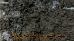 صفر تا صد پرورش قارچ دکمه ای در ۶۰ روز با کمترین امکانات (بصورت عملی)