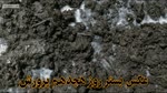 صفر تا صد پرورش قارچ دکمه ای در ۶۰ روز با کمترین امکانات (بصورت عملی)